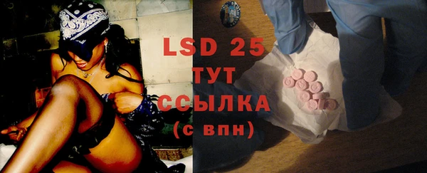 сатива Елабуга
