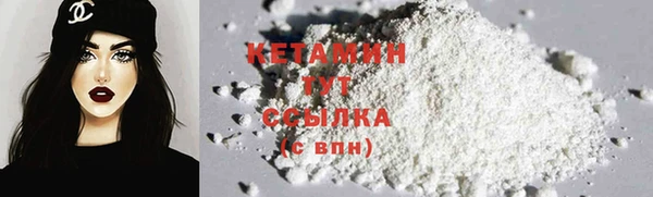 шишки Елизово