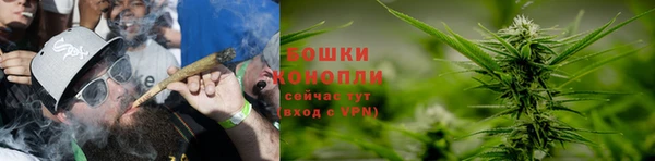 шишки Елизово