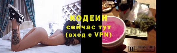 сатива Елабуга
