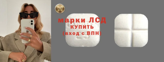 сатива Елабуга