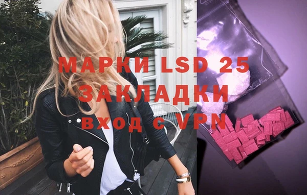 шишки Елизово