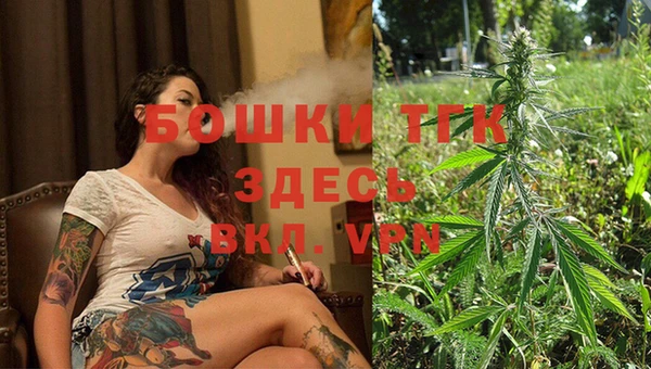 шишки Елизово