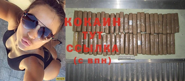 шишки Елизово