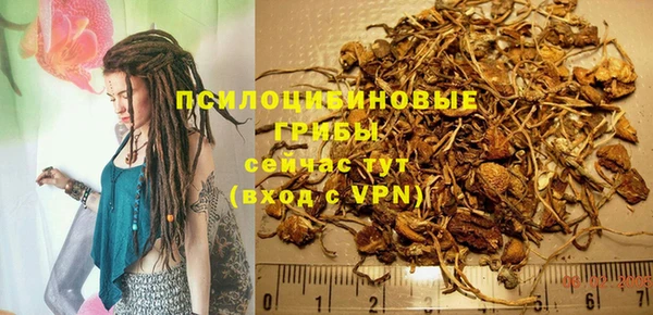 шишки Елизово
