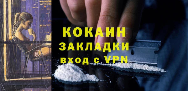 сатива Елабуга