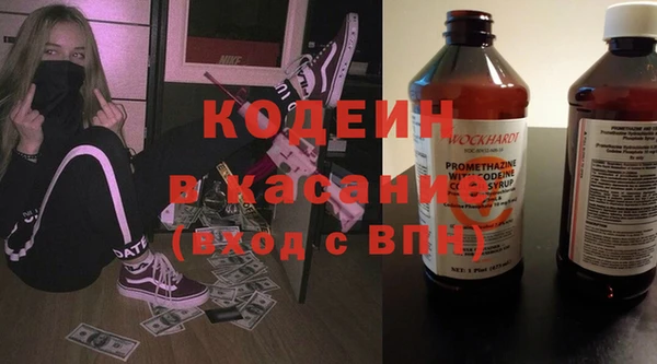 сатива Елабуга