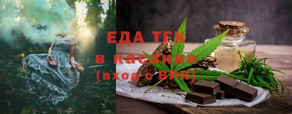 гашик Дмитров