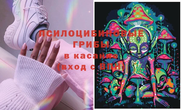 шишки Елизово